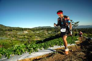 BIB: 9034
                            <button type="button" onclick="openModal(19118977)" class="btn btn-primary btn-sm float-right btn-popup" data-toggle="modal" data-target=".modal-high-quality">
                        <i class="fas fa-shopping-cart"></i> Add to Cart
                    </button>
                                            <button type="button" onclick="isThisMe(19118977, true)" class="btn btn-success btn-sm float-right btn-popup btn-isme hidden" data-toggle="tooltip" data-placement="bottom" title="นี่คือรูปของคุณใช่ไหม คลิกที่นี่เพื่อเอาเข้าอัลบั้ม">
                        <i class="fas fa-plus"></i> Add to album
                    </button>
                    <button type="button" onclick="isThisMe(19118977, false)" class="btn btn-warning btn-sm float-right btn-popup btn-isnotme hidden">
                        <i class="fas fa-ban"></i> Remove from album
                    </button>